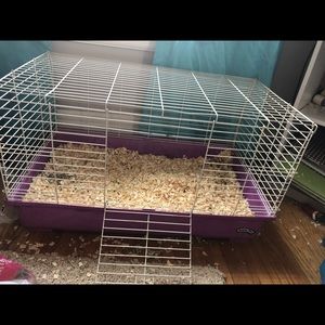Small animal cage